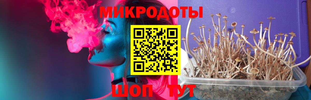 Пушкино  Псилоцибиновые грибы прущие грибы  Вход с VPN 